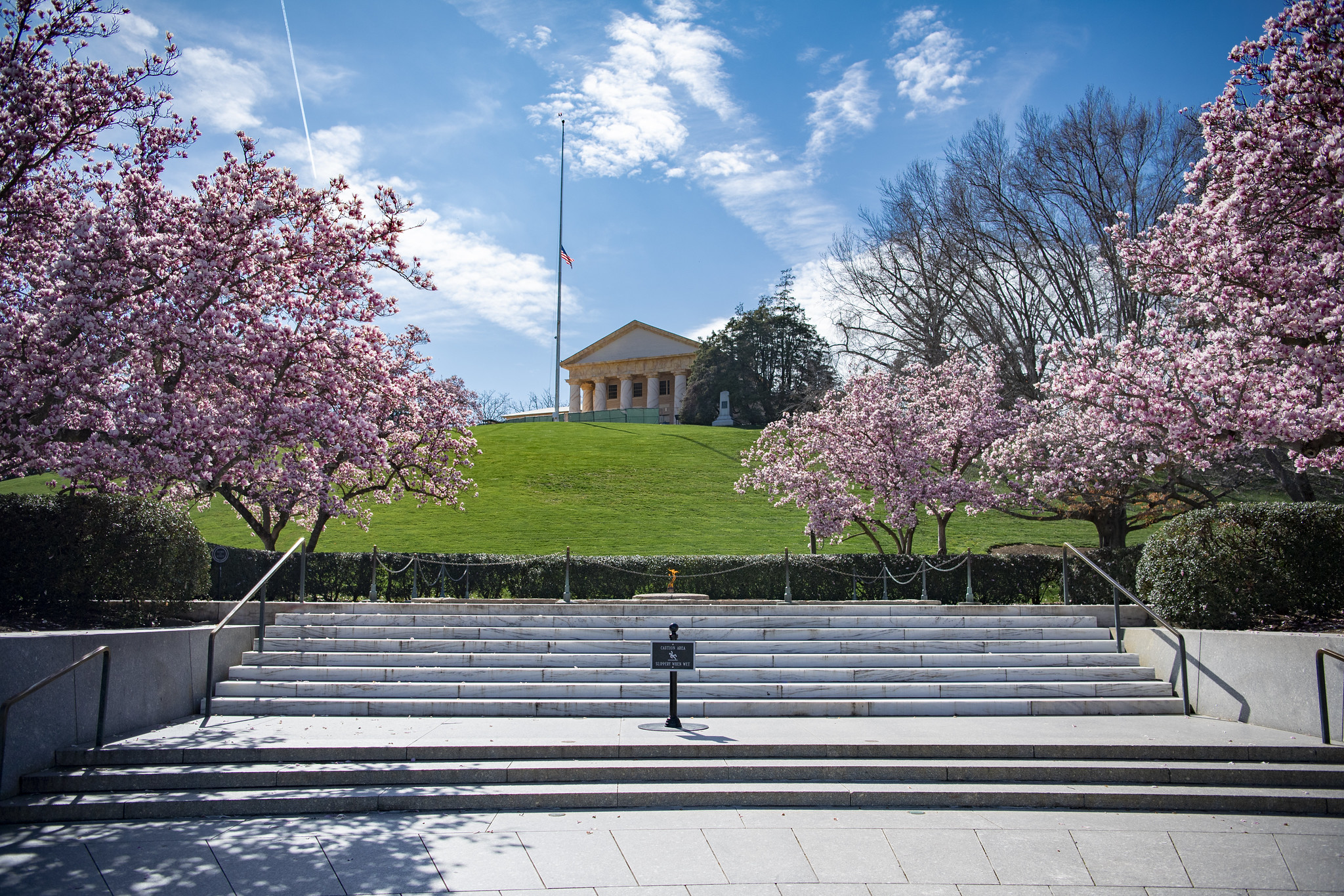 Arlington House 2020 Arlington House 2020